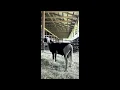 Lot 1