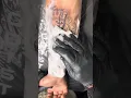 wolf tattoo