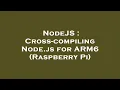 NodeJS Cross-compiling Node js for ARM6 Raspberry Pi