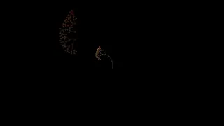 Amazing Geometric Tree Design using Python turtle
