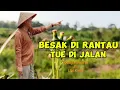 Download Lagu Besak Di Rantau Tue Di Jalan - Rejung Batang Hari Sembilan Sedih