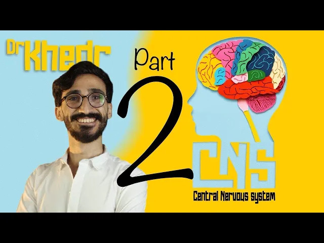 Biology | Central nervous system | senior 2 | part two | 2024| دكتور مصطفي خضر