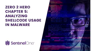 From Zero to Hero Chapter 5 Analyzing Shellcode Usage in Malware