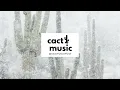 Cinthie - Won't U Take Me (Dam Swindle Remix)
