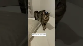 IL VA NOUS FAIRE LA FÊTE 