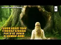 Download Lagu POHON ABADI YANG TERBUKA SEBAGAI PINTU KE DUNIA DI BAWAH BUMI - ALUR CERITA FILM