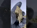 Download Lagu CBD Super Skunk - Cannabis Legale