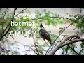 Download Lagu Maartje in het Vogelhuis - Hoe gaat het met ARTIS #4