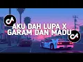 Download Lagu DJ AKU DAH LUPA X GARAM DAN MADU LAGU VIRAL TIKTOK
