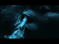 No, I'm Not Ok (Official Visualizer) - Yung Bleu