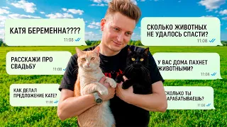 Сколько животных не спасли? Свадьба, отношения, беременность. Ответы на вопросы / SANI vlog