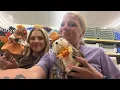 Vlog Dollar Tree Haul With Gracie New Finds I found the Golden Girl Lipgloss