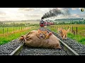 Lagu Kind Man Rescues an Abandoned Mother Cat — Rescuing a Mother Cat One Second Before the Train Hit