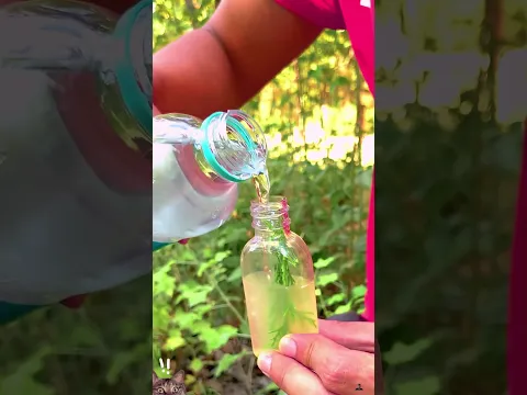 ✅ This Girl’s Genius Survival Trick! 🌿🦟 #survival #bushcraft #lifehack