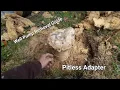 Well Pump Repair on Pitless Adapter Style Hook-up The Drop Pipe was Broken No Water Pressure