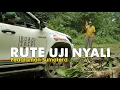 Download Lagu JAUH DARI KATA NYAMAN, PERJUANGAN MENUJU  LAMPUNG PEDALAMAN II GIGI HIU