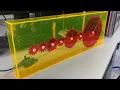Data Physicalization - Solar Years in Ratio