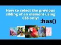 How to select the previous sibling of an element using CSS only in 6 minutes 2024