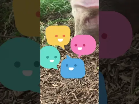 Chatty Little Piggies🐷🔊🐷 Pigs for Toddlers