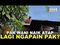 Lagu SUASANA SORE DI KEBUN KALIMANTAN UTARA BERSAMA WARGA LOKAL DAN WANI RANTAU