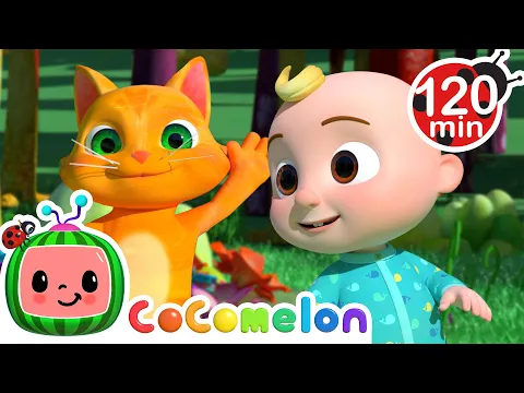 Download MP3 The Animal Dance Song! | CoComelon | Animals for Kids | Sing Along | Learn about Animals