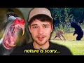 Nature is Terrifying