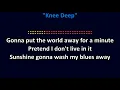 Zac Brown Band - Knee Deep  (feat. Jimmy Buffett)