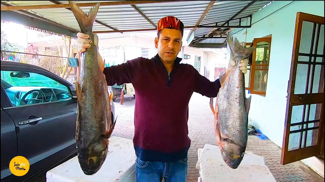 Himachal Pradesh Biggest Fish Fry Making In Hamirpur Rs 200/- Only l Himachal Street Food
