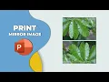 How to print mirror image in PowerPoint