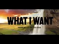 Download Lagu What I Want - Morgan Wallen ft. Tate McRae (Lyrics)