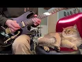 Lagu Paul gilbert guitar solo with cat 