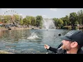 Download Lagu Harmloser PARKSEE: Uralte Fische leben hier völlig unbemerkt! 😳