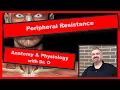 Blood Pressure and Peripheral Resistance Anatomy and Physiology