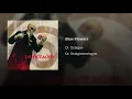 Blue Flowers - Dr. Octagon
