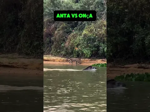 Best animal encounter ever! 😱