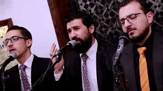 عيوني يا عيوني    مالك نبهان دندنها