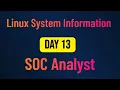 Linux System Information Commands for SOC Analysts uname lscpu df top Day 13