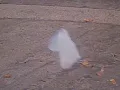 'American Beauty' - Thomas Newman (from the 'plastic bag scene')