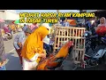 Download Lagu PASAR TUREN MALANG SALAH SATU PASAR AYAM YANG SELALU RAMAI TIAP HARI