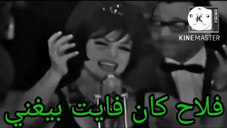 شريفه فاضل اغنيه خف من الحته شويه واغنيه فلاح كان فايت بيغني 