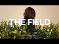 The Field - Kristene DiMarco | The Field