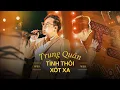 Download Lagu Tình thôi xót xa - Trung Quân Cover @waveproduction2023 2021