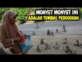 Download Lagu LEBIH DARI 7 ABAD || MASJID SAKA TUNGGAL DI BANGUN TAHUN 1288 M MENJADI MASJID TERTUA DI PULAU JAWA