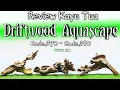 Review Driftwood For Aquascape - Kayu Tua kayu Rentek untuk Aquascape