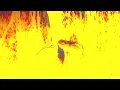 Clean Bandit - Everything But You (feat. A7S) [COASTR. Remix]