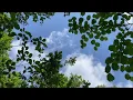 Download Lagu Einfach stimmig (simply harmonious) - Gesangsimprovisation mit drei Stimmen