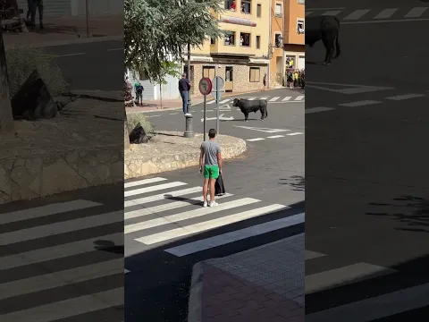 NOS SUBIMOS AL ARBOL PARA GRABAR AL TORO