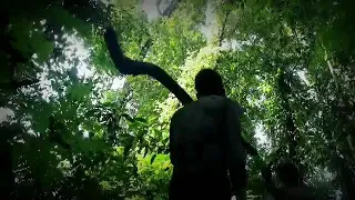 karya alumni ha jabasu hutan rimba yahukimo papua