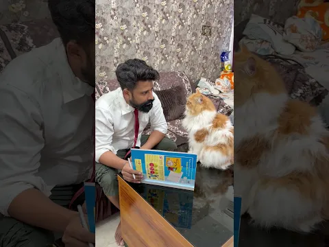 billu se paise nikalwana😂🤣😂 #sajidcat #catshorts #comedy #catcomedy #catvideo #cat