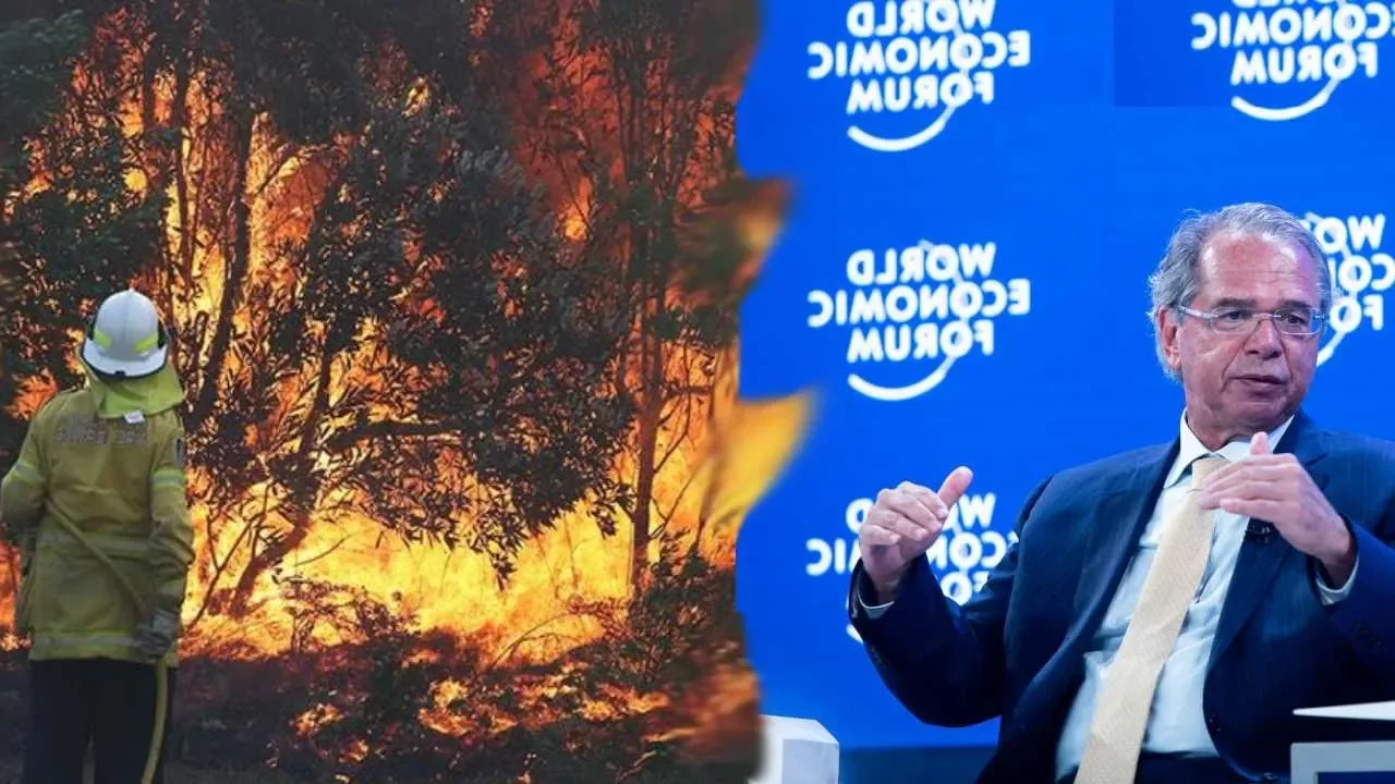 Queimadas na Austrália, Amazônia, e Paulo Guedes sobre meio ambiente (#Pirula 322)